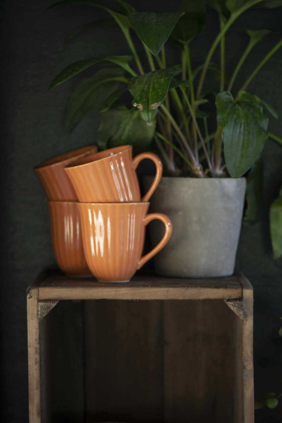 IB Laursen Mynte Pumpkin Spice, Bild 1