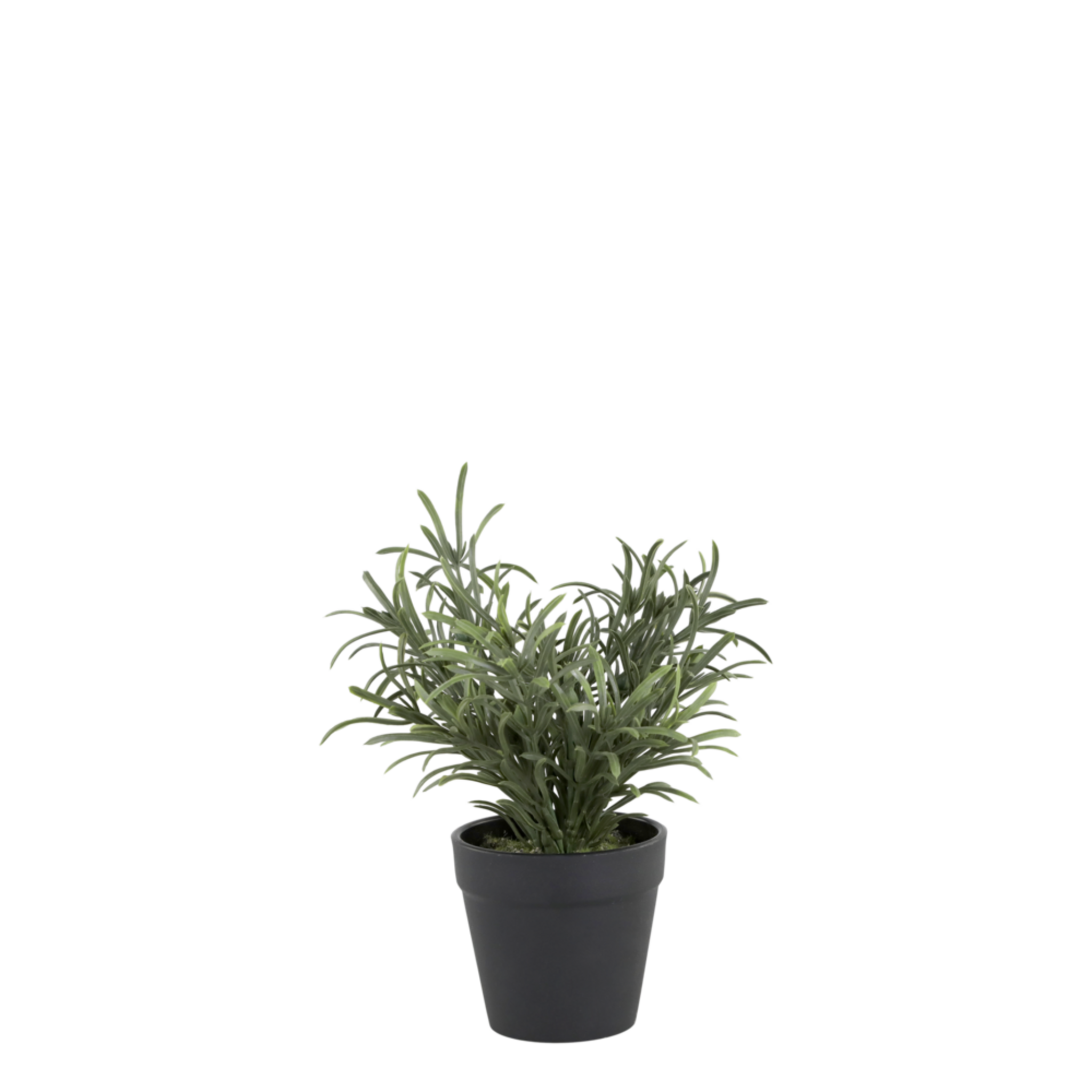 Künstliche Grünpflanze Koniferenstrauch, grün 