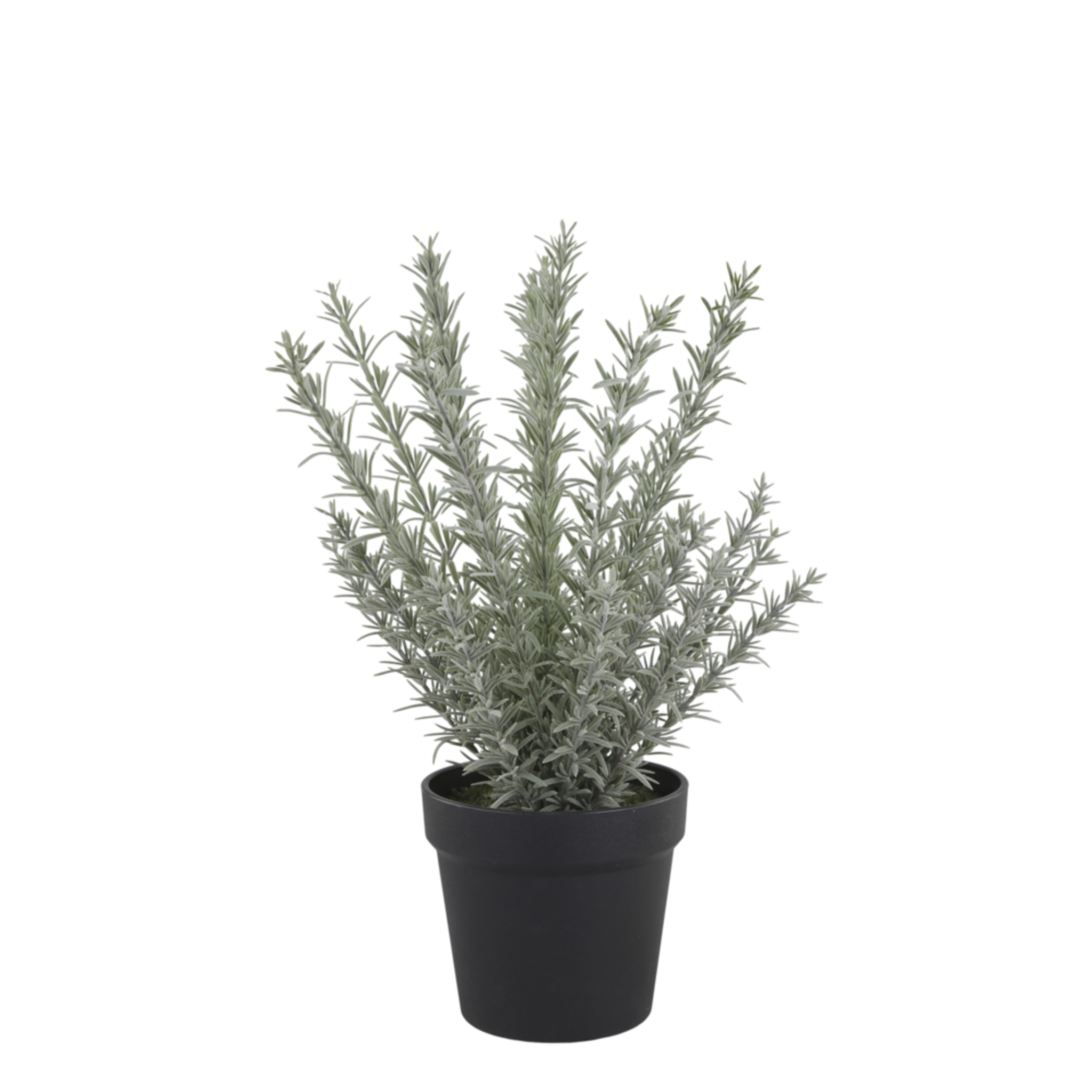 Fleur künstlicher Rosmarin Topf, grün Höhe 45, Ø 15 cm