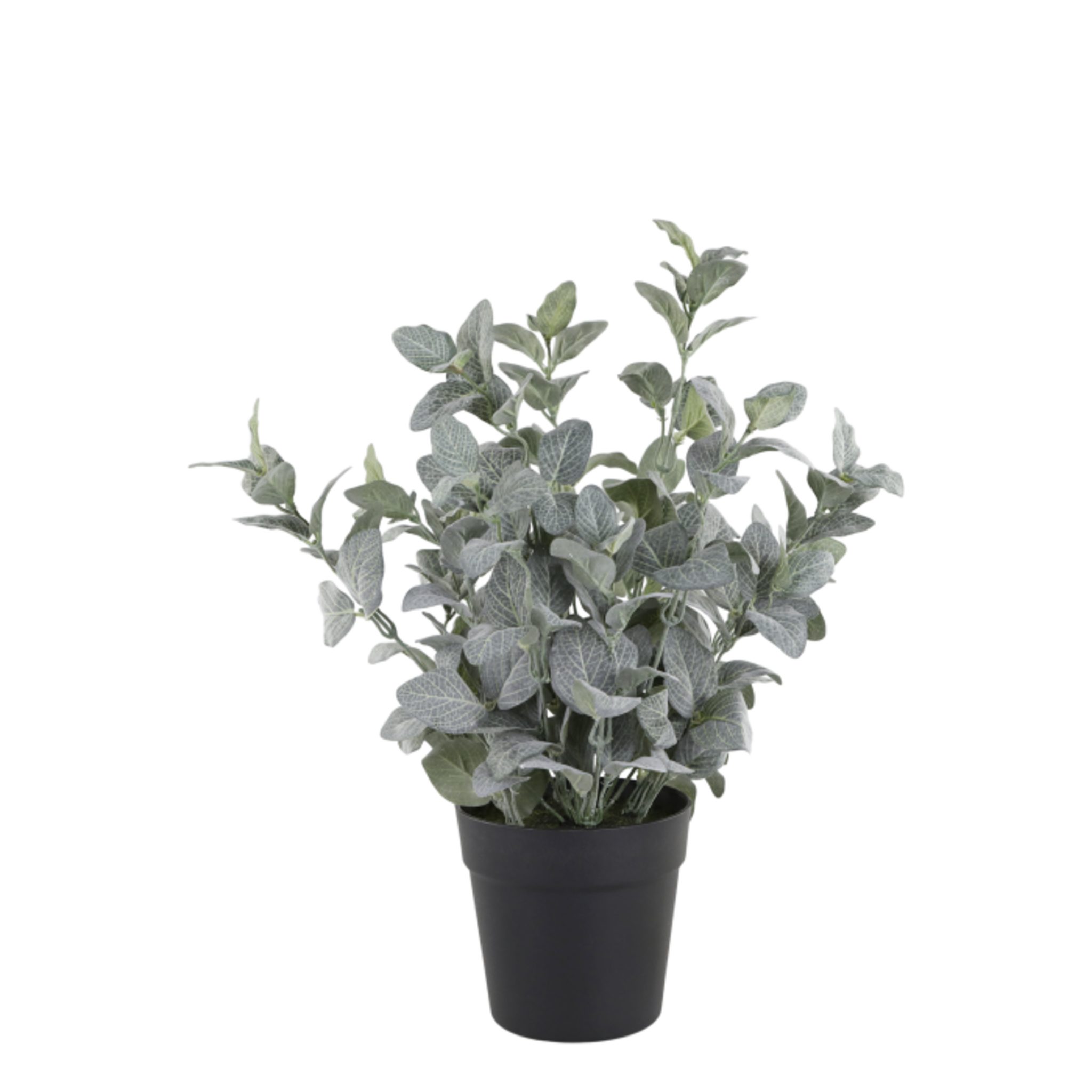 Fleur Salbei Kräuter-Topf künstlich, grün 