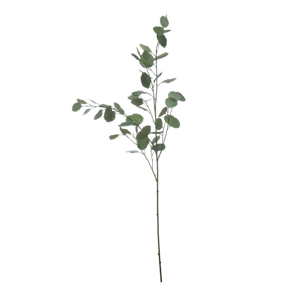 Deko Eukalyptuszweig, grün