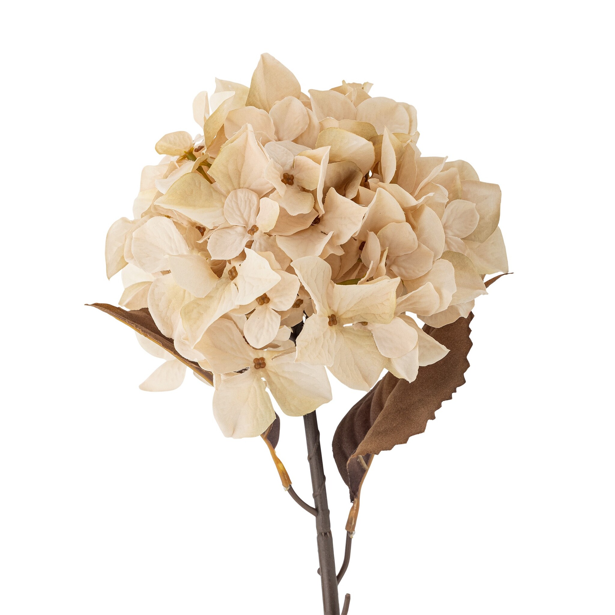Hydrangea Stiel, Künstliche Blume, creme 