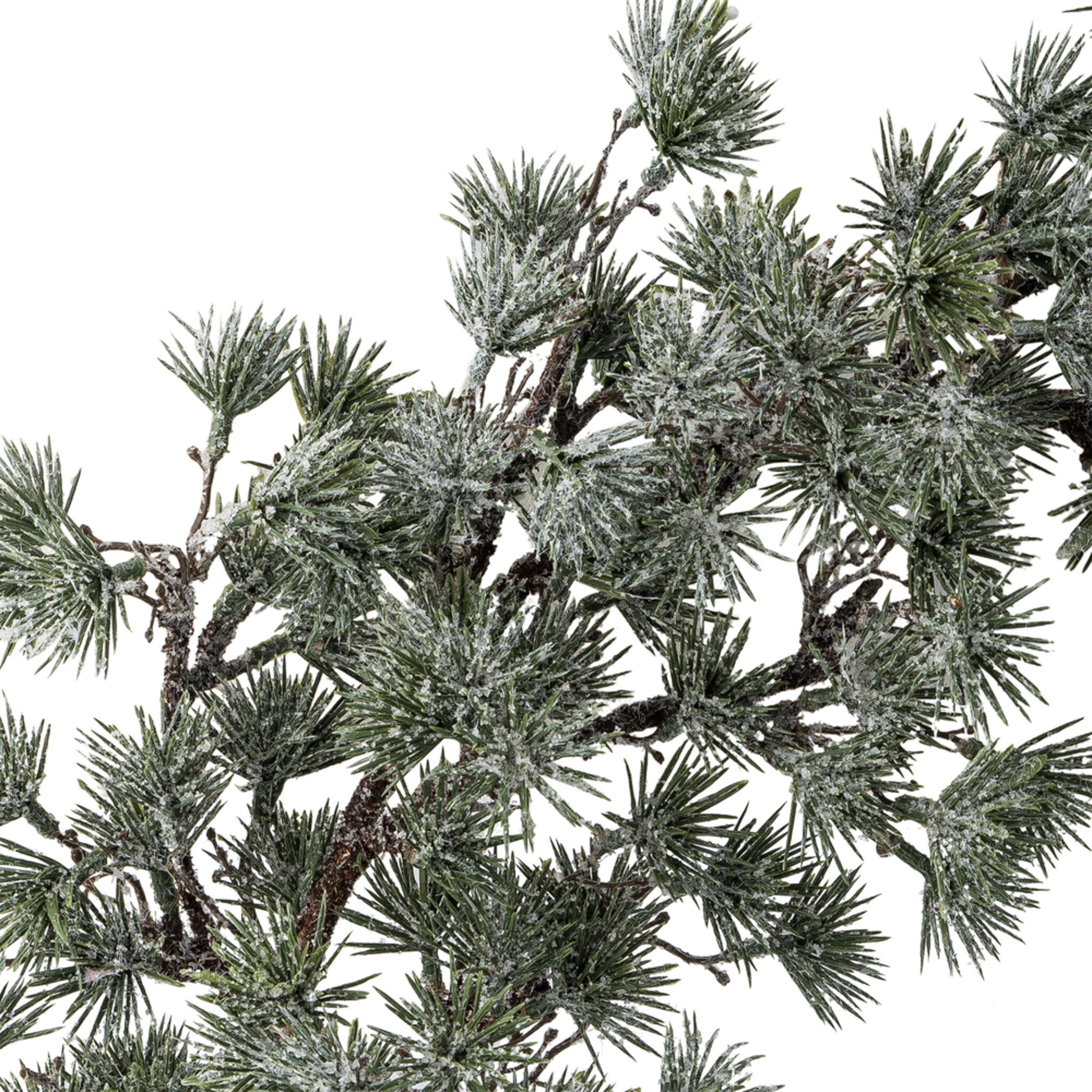 Kranz Jeune, Künstlich, grün 