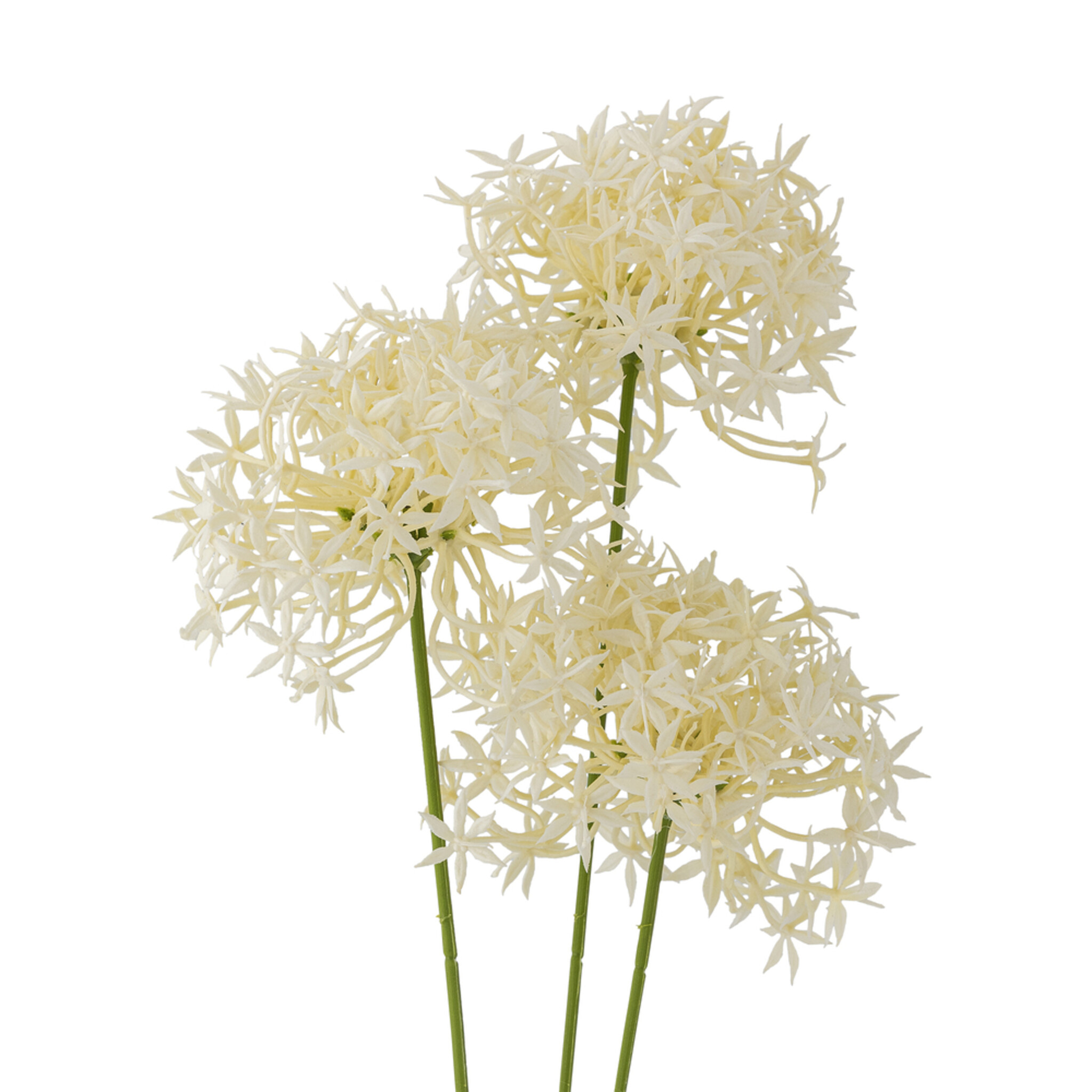 Künstlicher Allium Stiel Weiß, Kunstblume, weiss 
