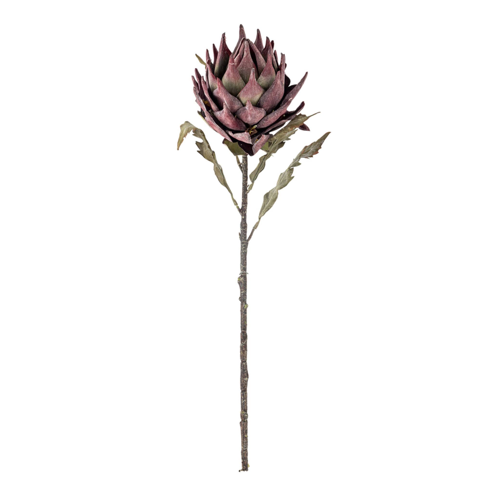 Kunstblume Protea Stiel, Violett, purple