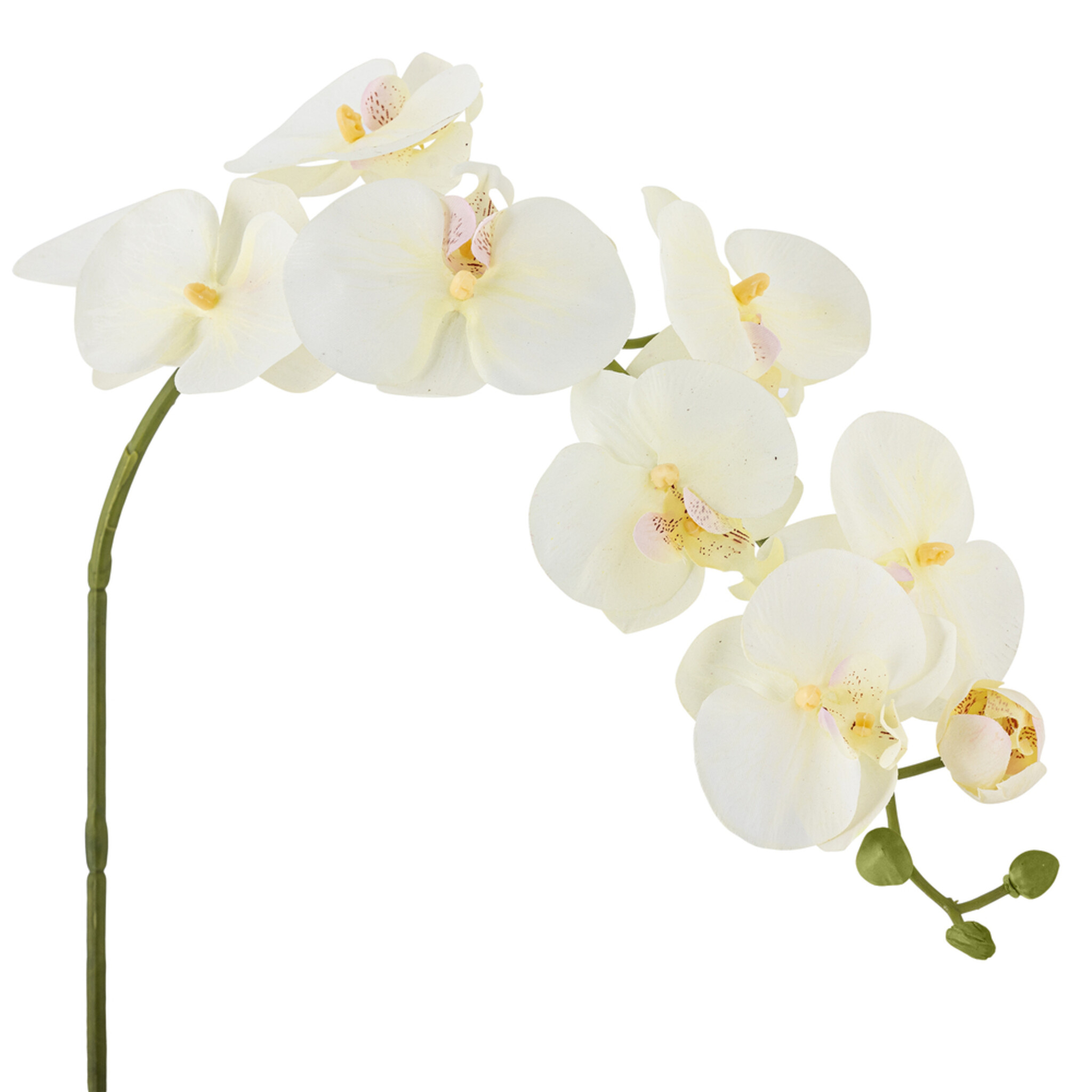Orchideen Stiel, Weiß, Künstliche Blume, weiss 
