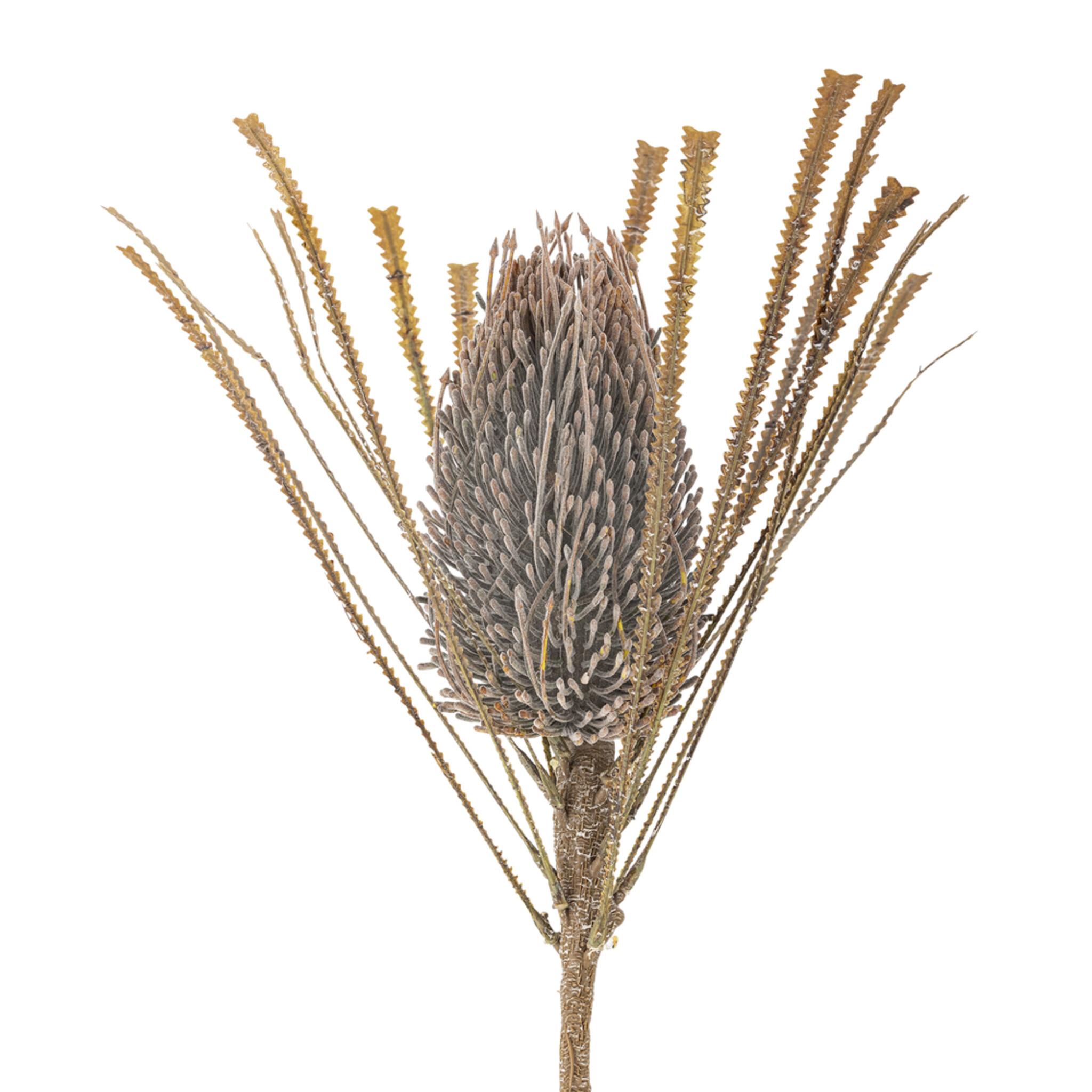 Palmflower Stiel, Künstliche Blume, braun 