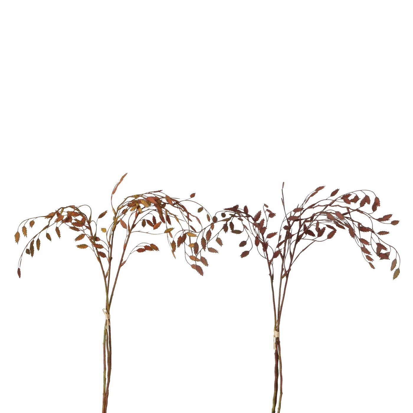2er Set Dekozweig, braun 