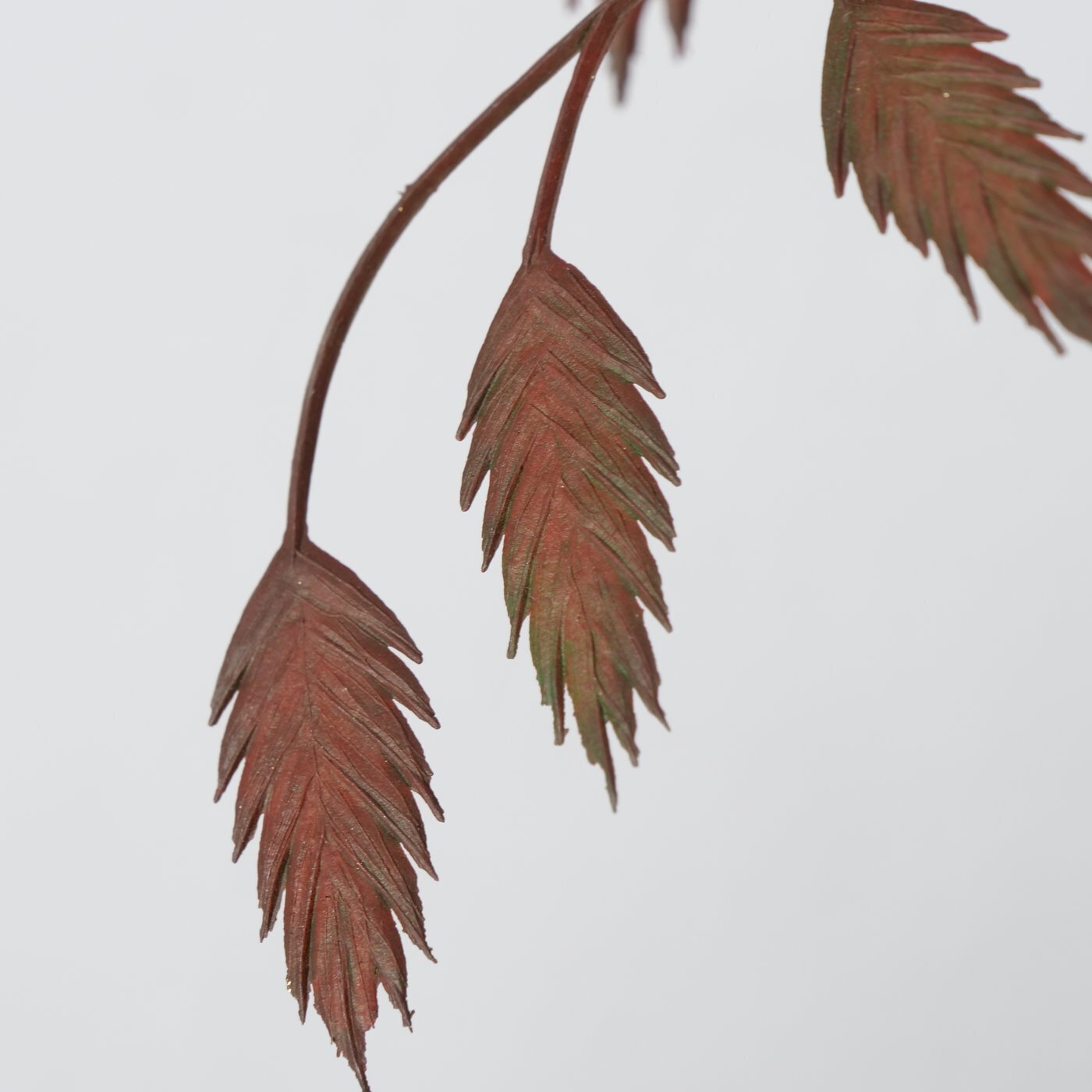 2er Set Dekozweig, braun 