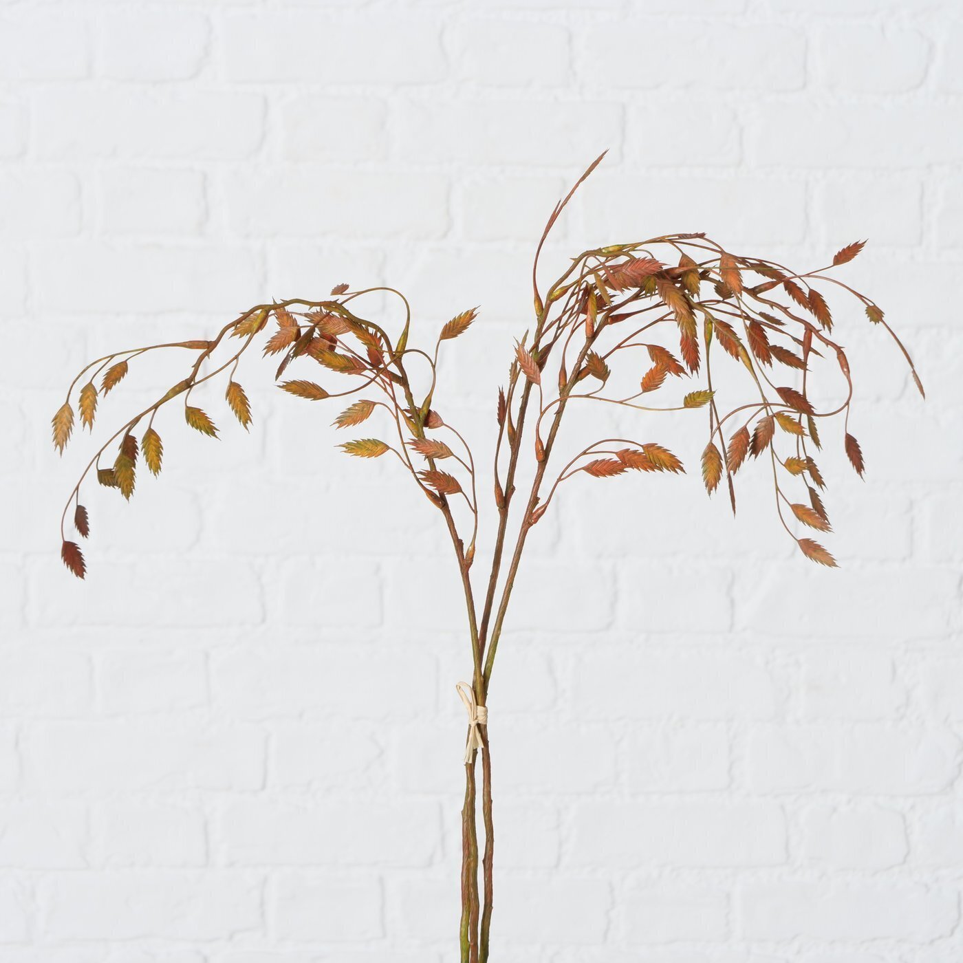 2er Set Dekozweig, braun 
