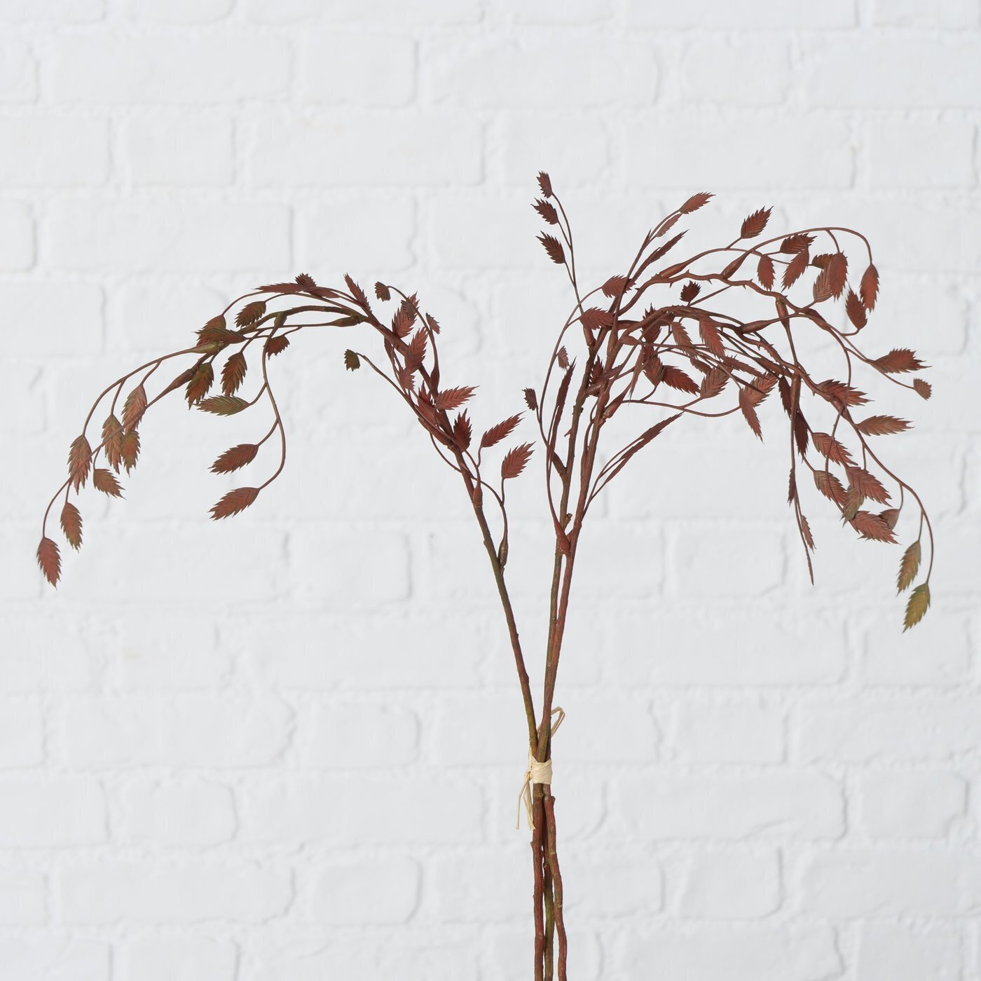 2er Set Dekozweig, braun 