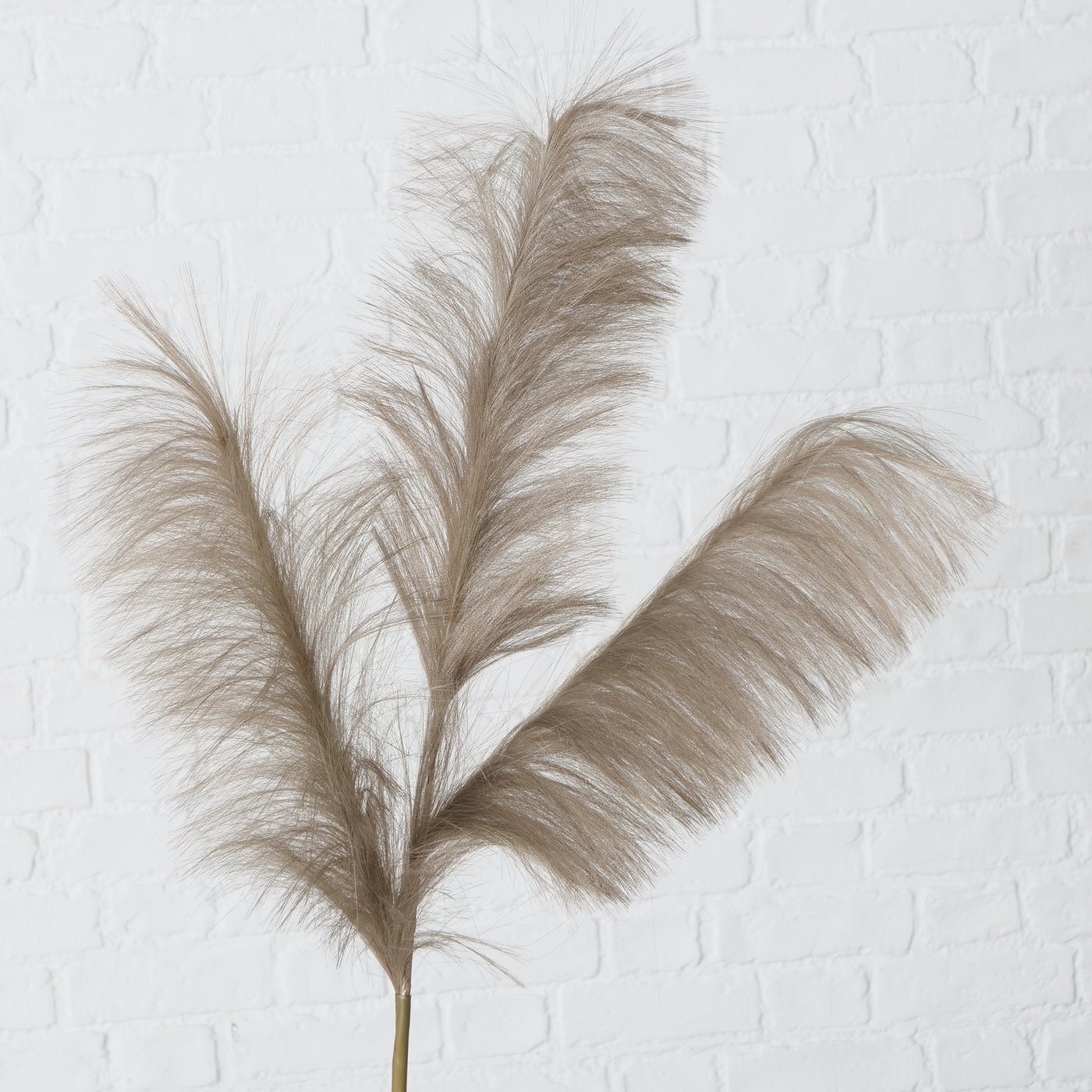 Dekozweig Schilf, braun 