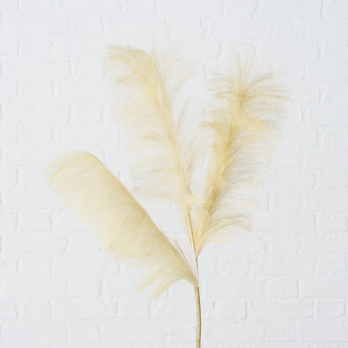 Dekozweig Schilf, braun 