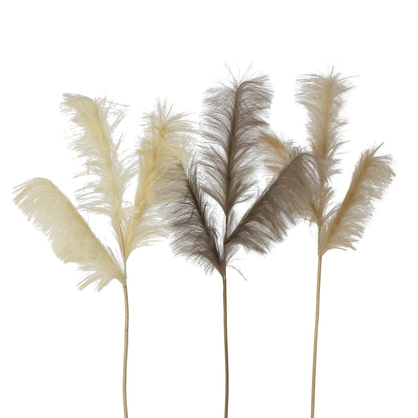 Dekozweig Schilf, braun 