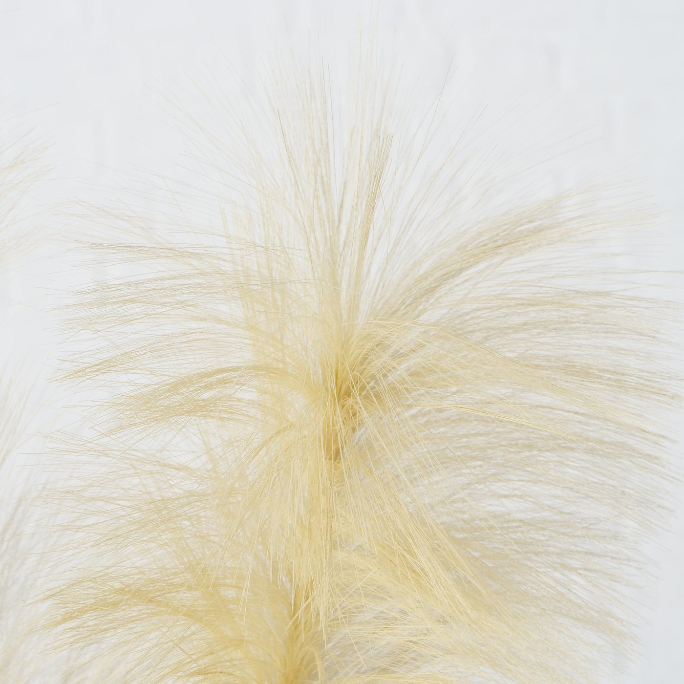 Dekozweig Schilf, braun 