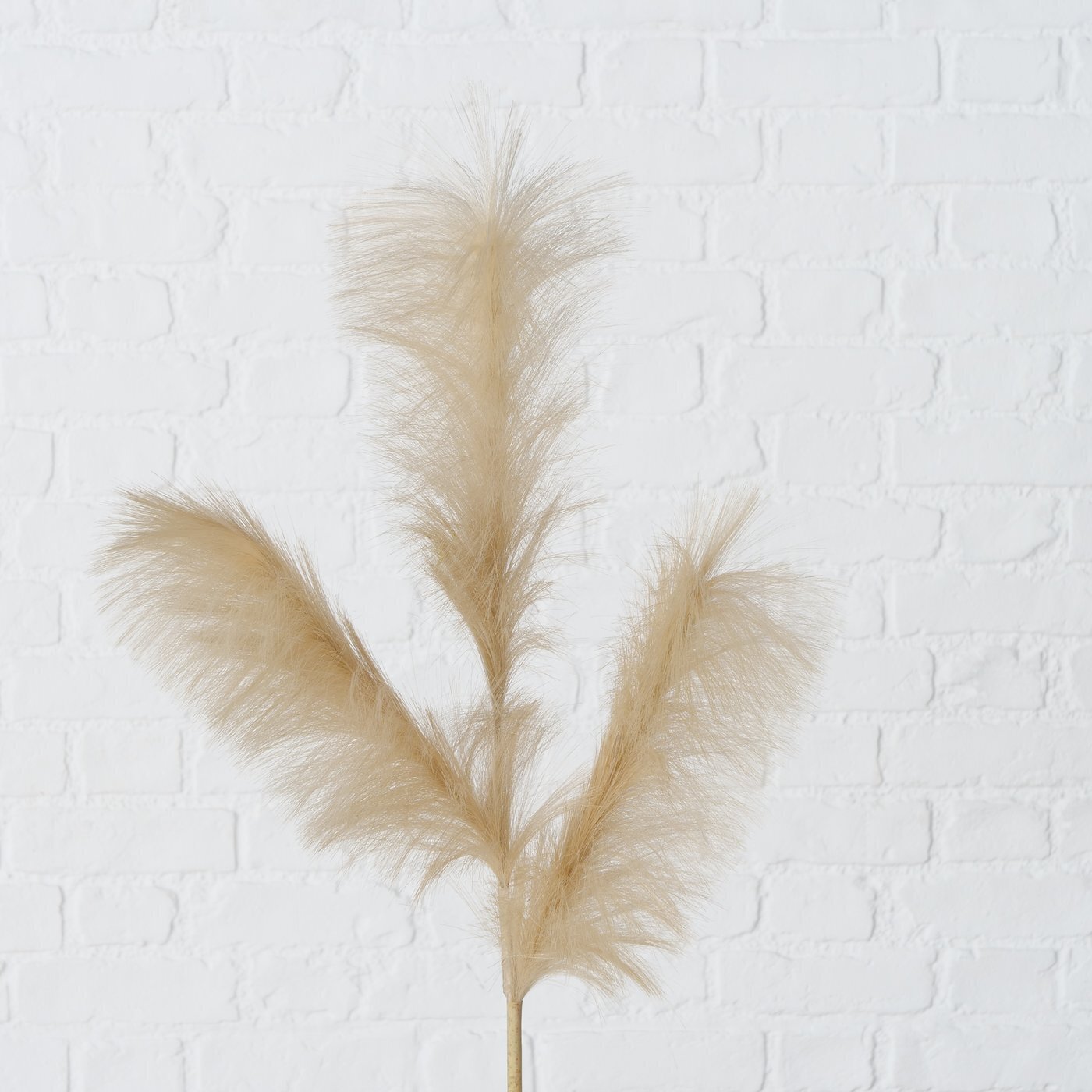 Dekozweig Schilf, braun 