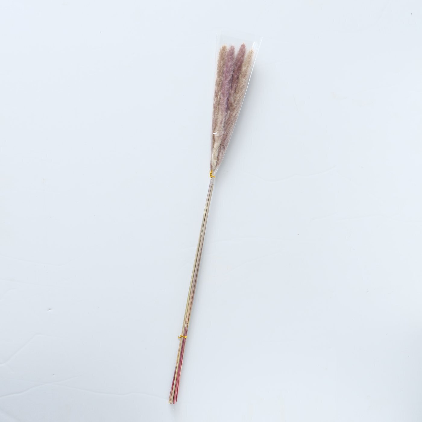 Dekozweig Pampasgras Natur 6 tlg., natur 