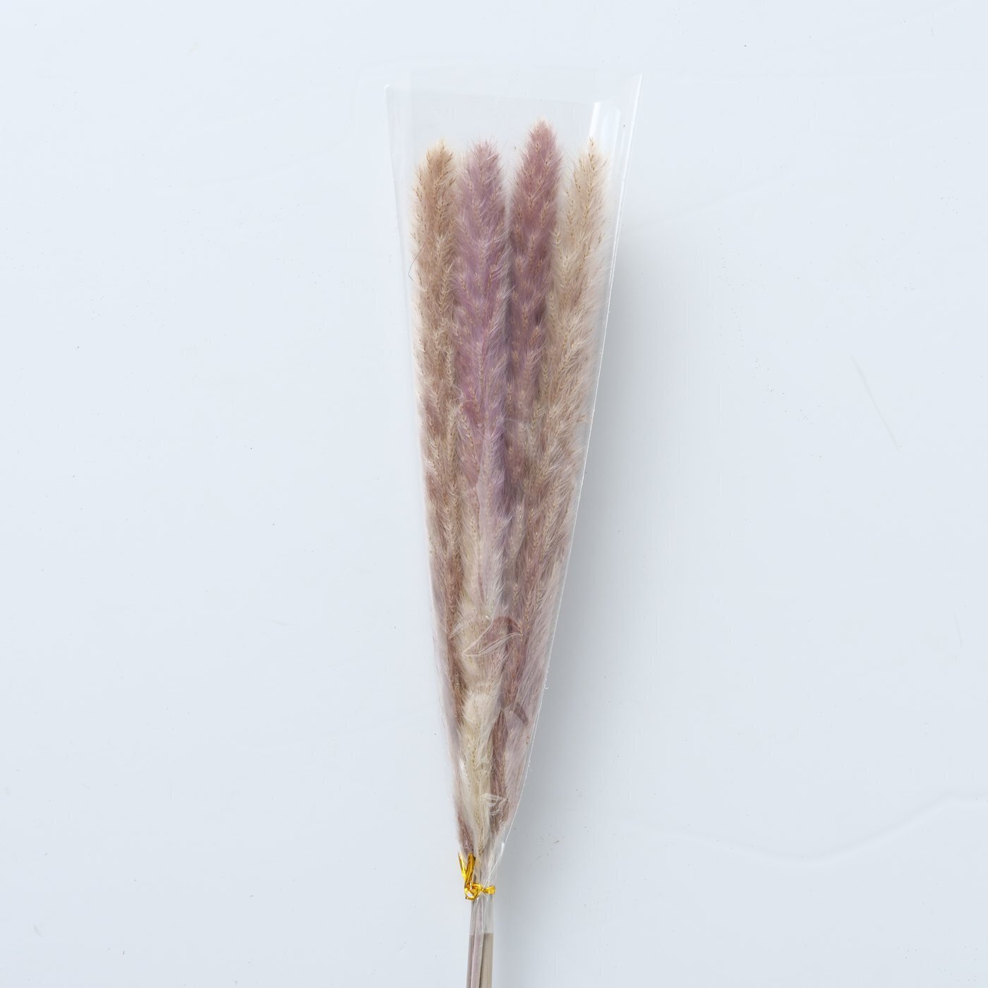 Dekozweig Pampasgras Natur 6 tlg., natur 