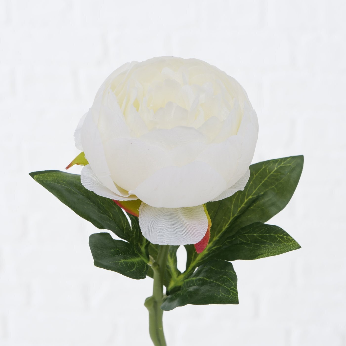 Stielblume Bauernrose, grün 