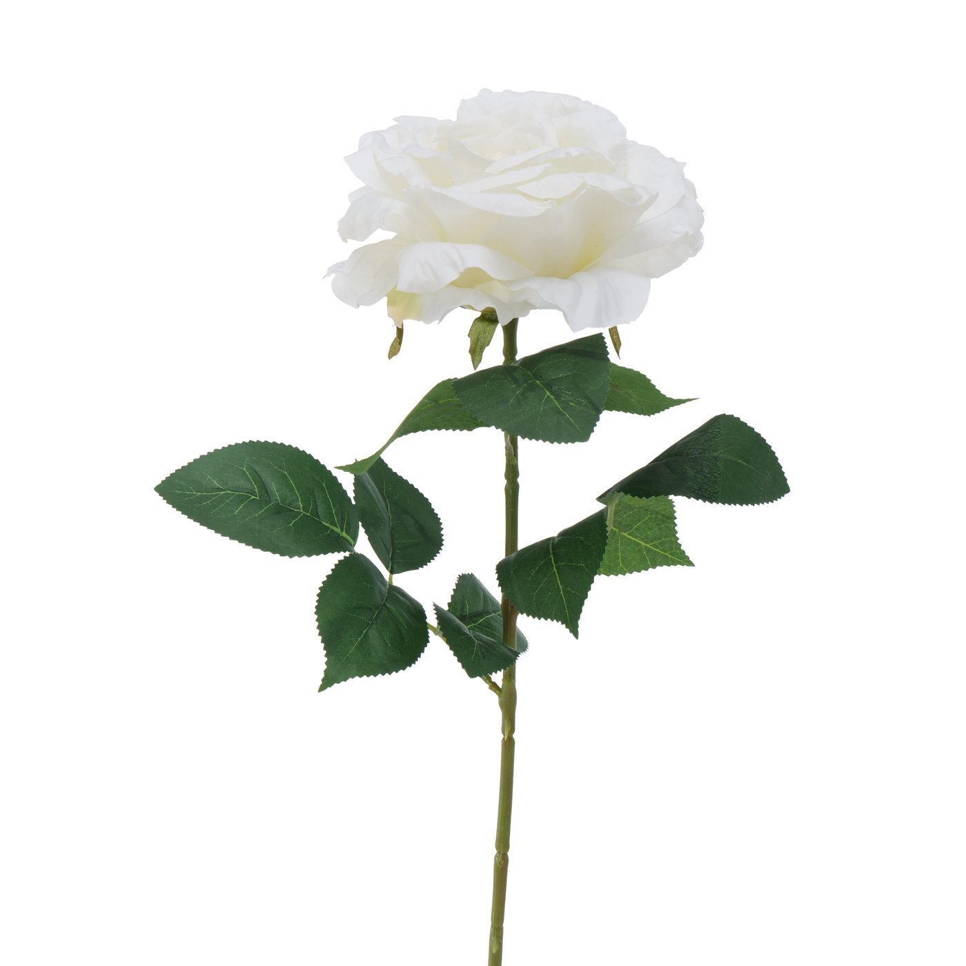 Stielkunstblume Rose, weiss 