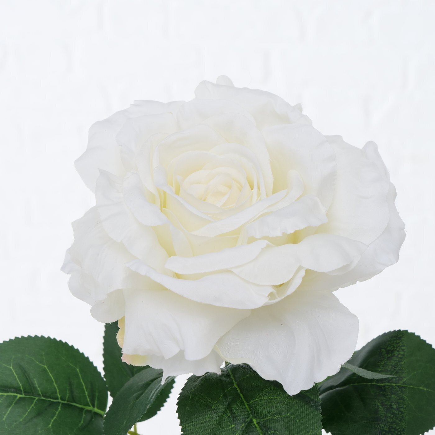 Stielkunstblume Rose, weiss 