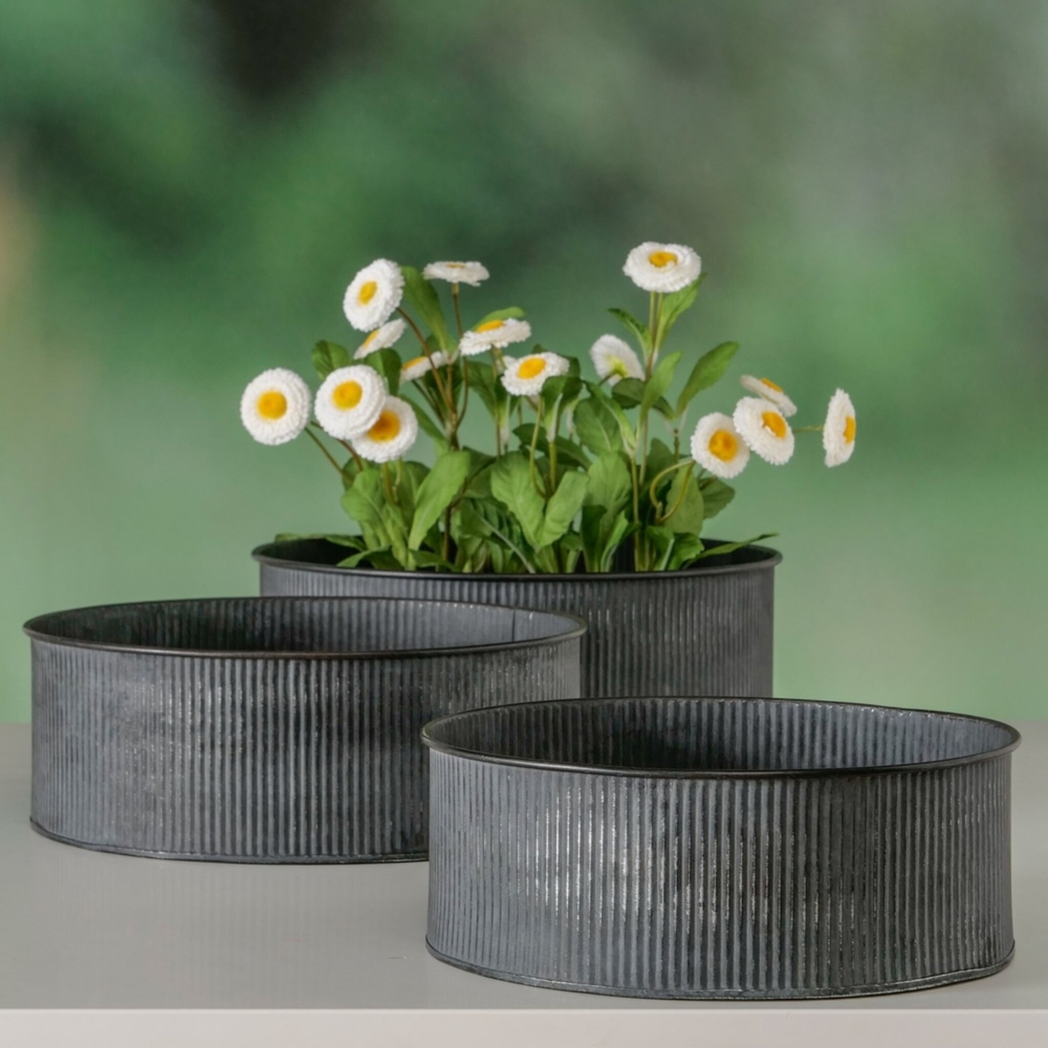 Metall Übertopf Bionda flach, 3er Set, grau 