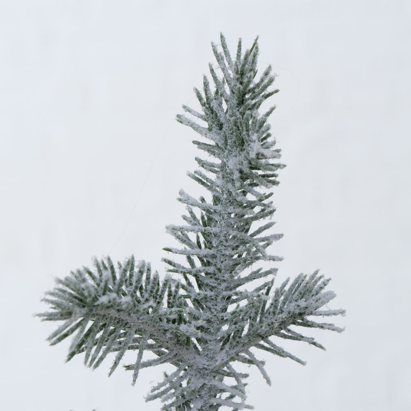 Weihnachtsbaum Mika, grün H90 cm