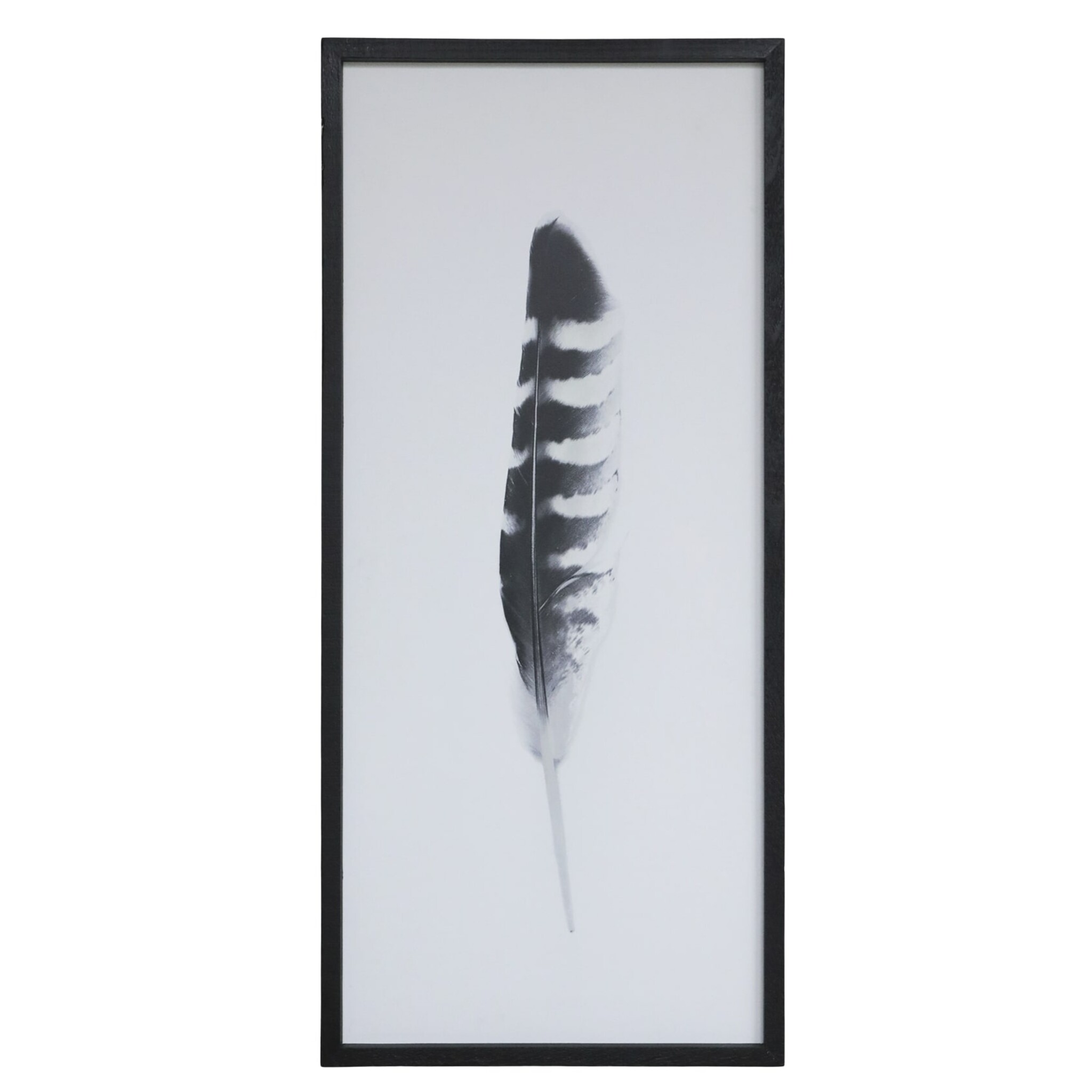 Bild mit Federnmotiv und schwarzem Rahmen, weiss 