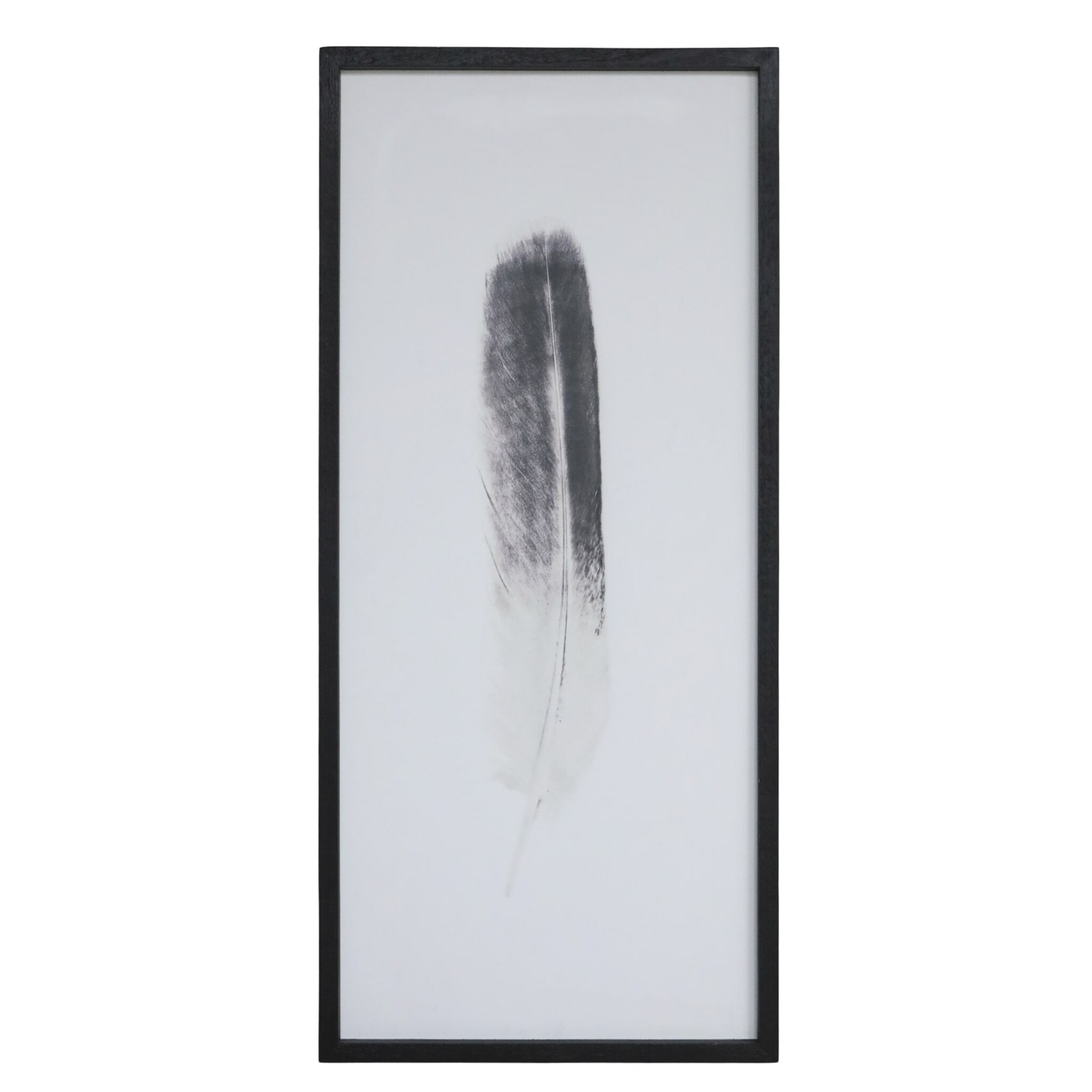 Bild mit Federnmotiv und schwarzem Rahmen, weiss 
