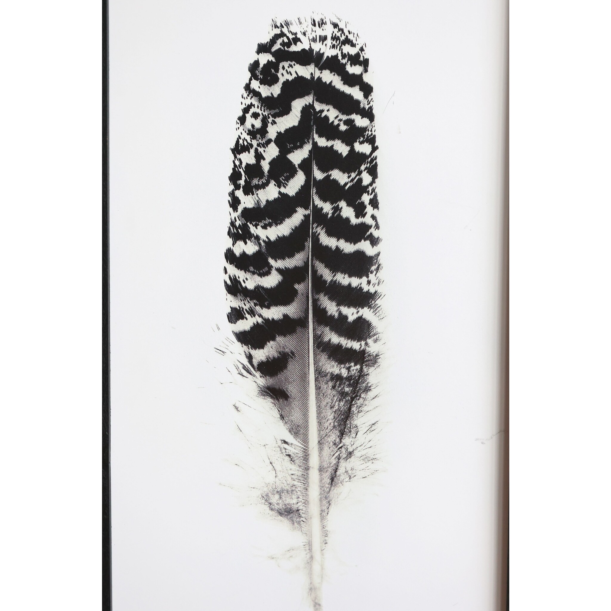 Bild mit Federnmotiv und schwarzem Rahmen, weiss 