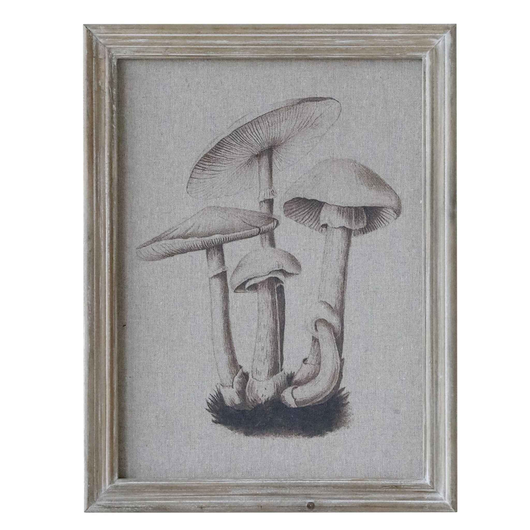 Bild mit Pilzmotiv und Naturrahmen, natur 