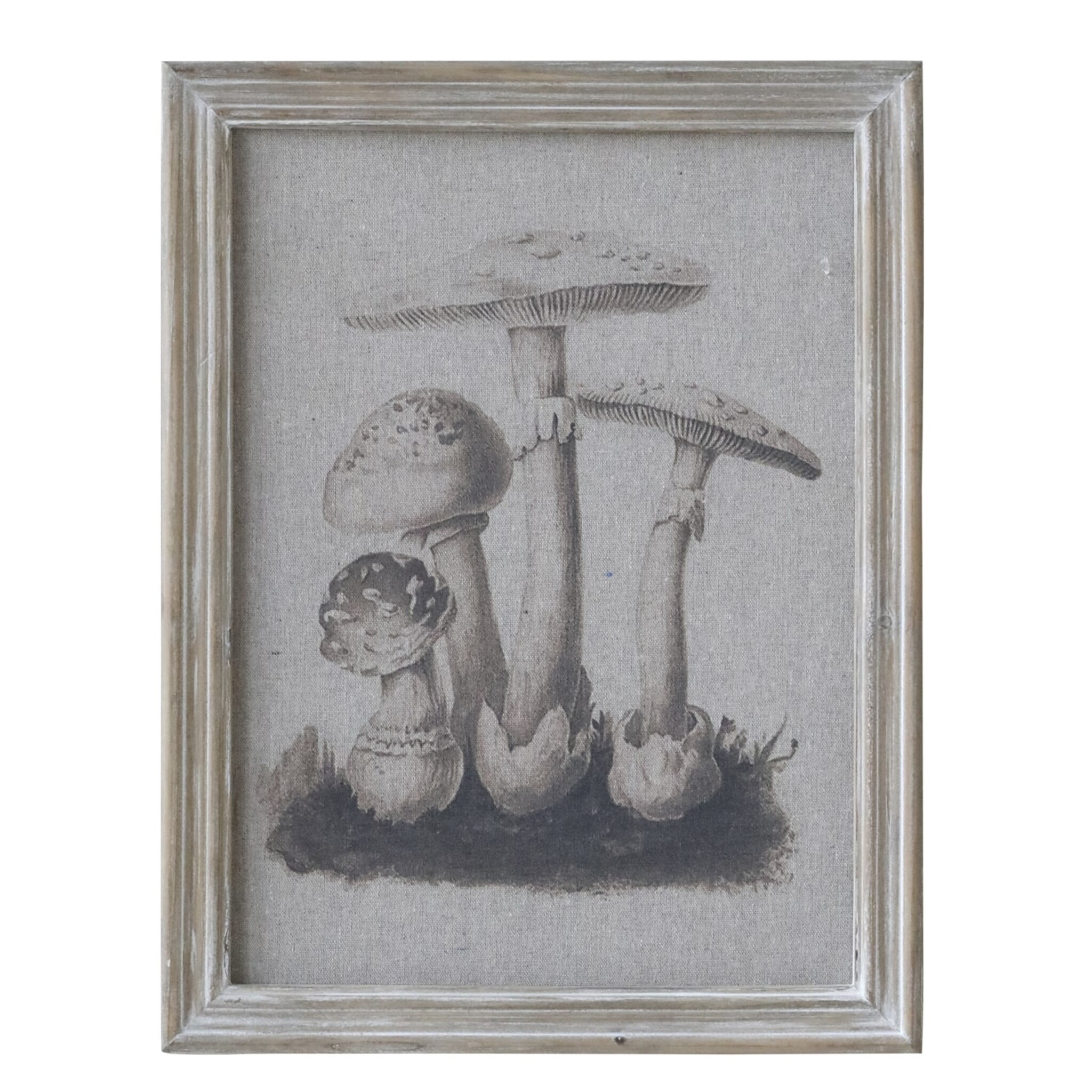 Bild mit Pilzmotiv und Naturrahmen, natur 