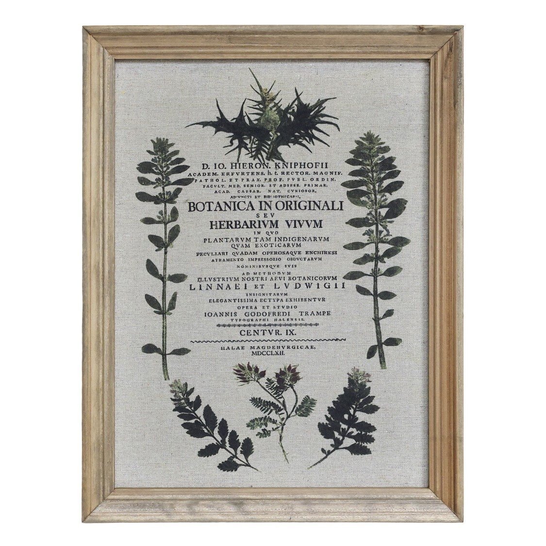 Bild mit wilden Blumen und Naturrahmen, natur 