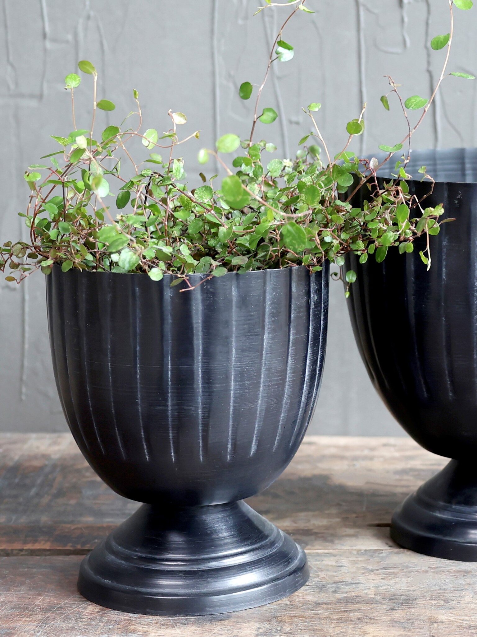 Blumentopf auf Fuß 2erSet von Chic Antique günstig bestellen SKANDEKO