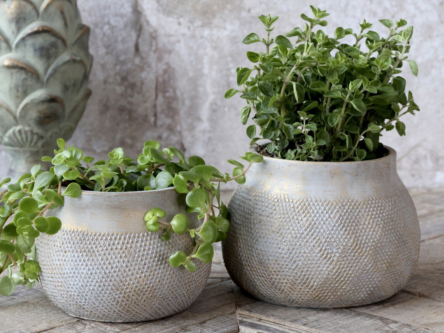 Blumentopf mit Gold, grau 