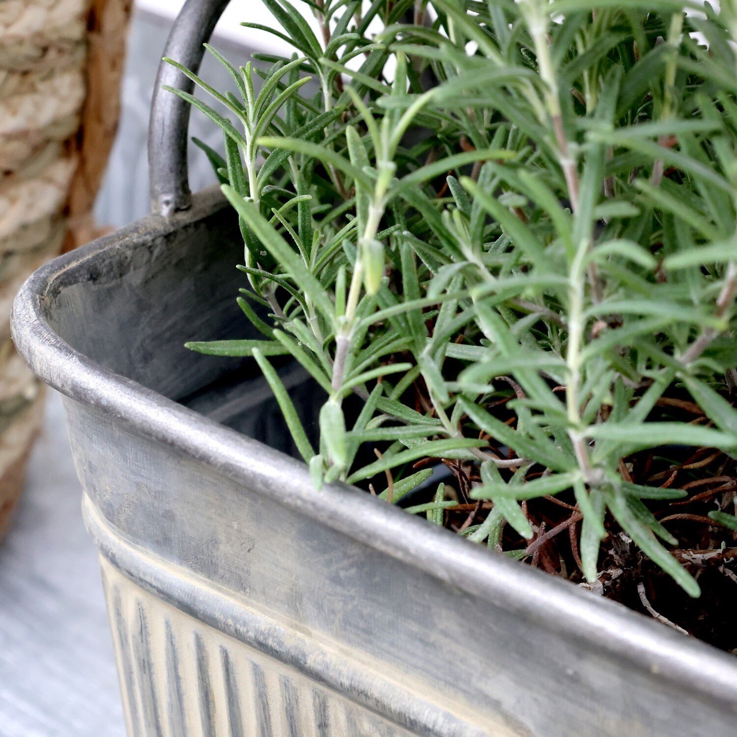 Blumentopf mit Rillen und Griffen, antique zink 