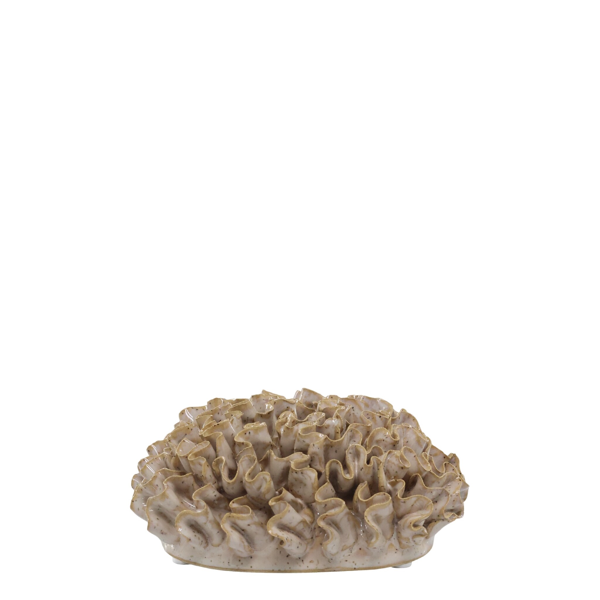 Deko Koralle für Deko, Wanddeko, latte 