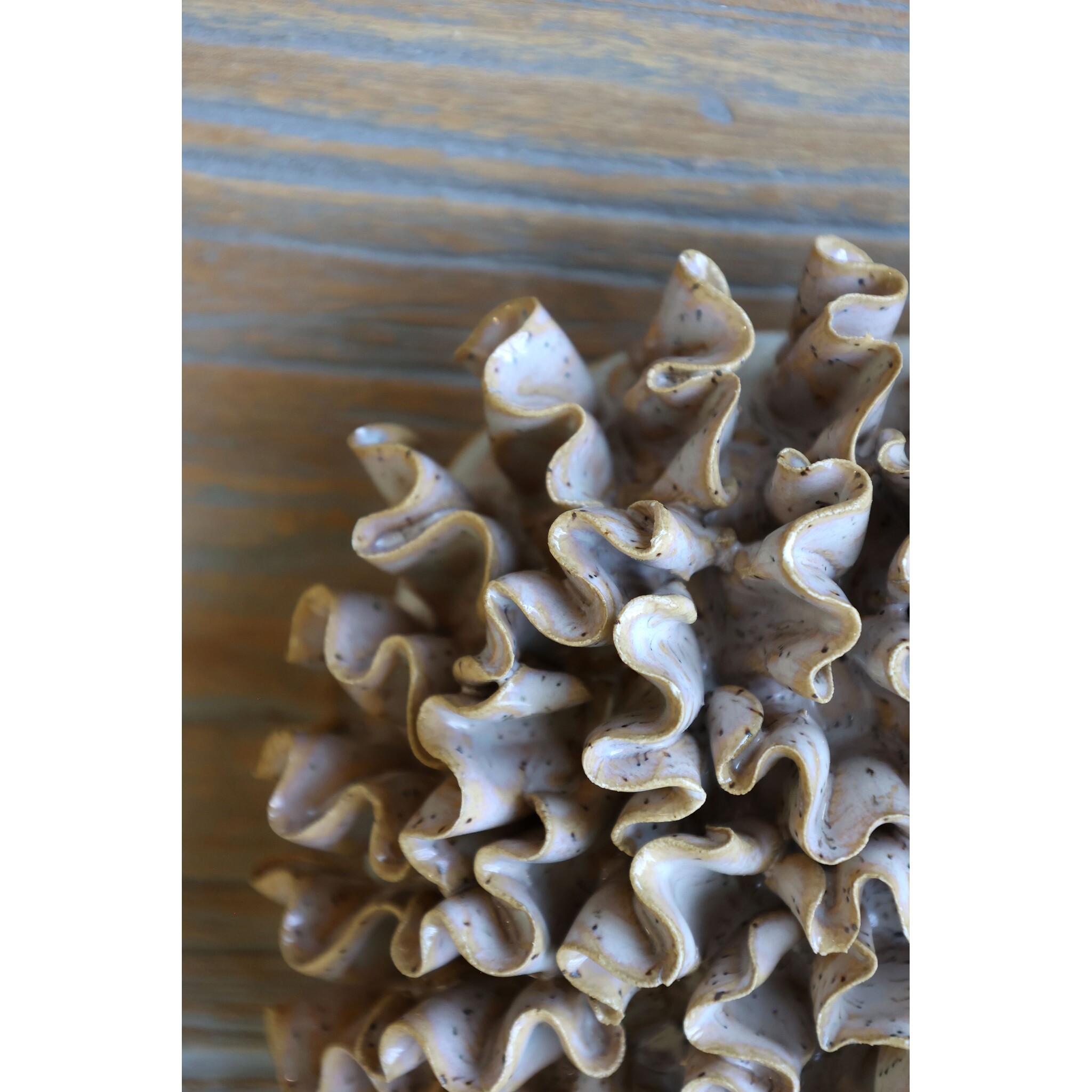 Deko Koralle für Deko, Wanddeko, latte 