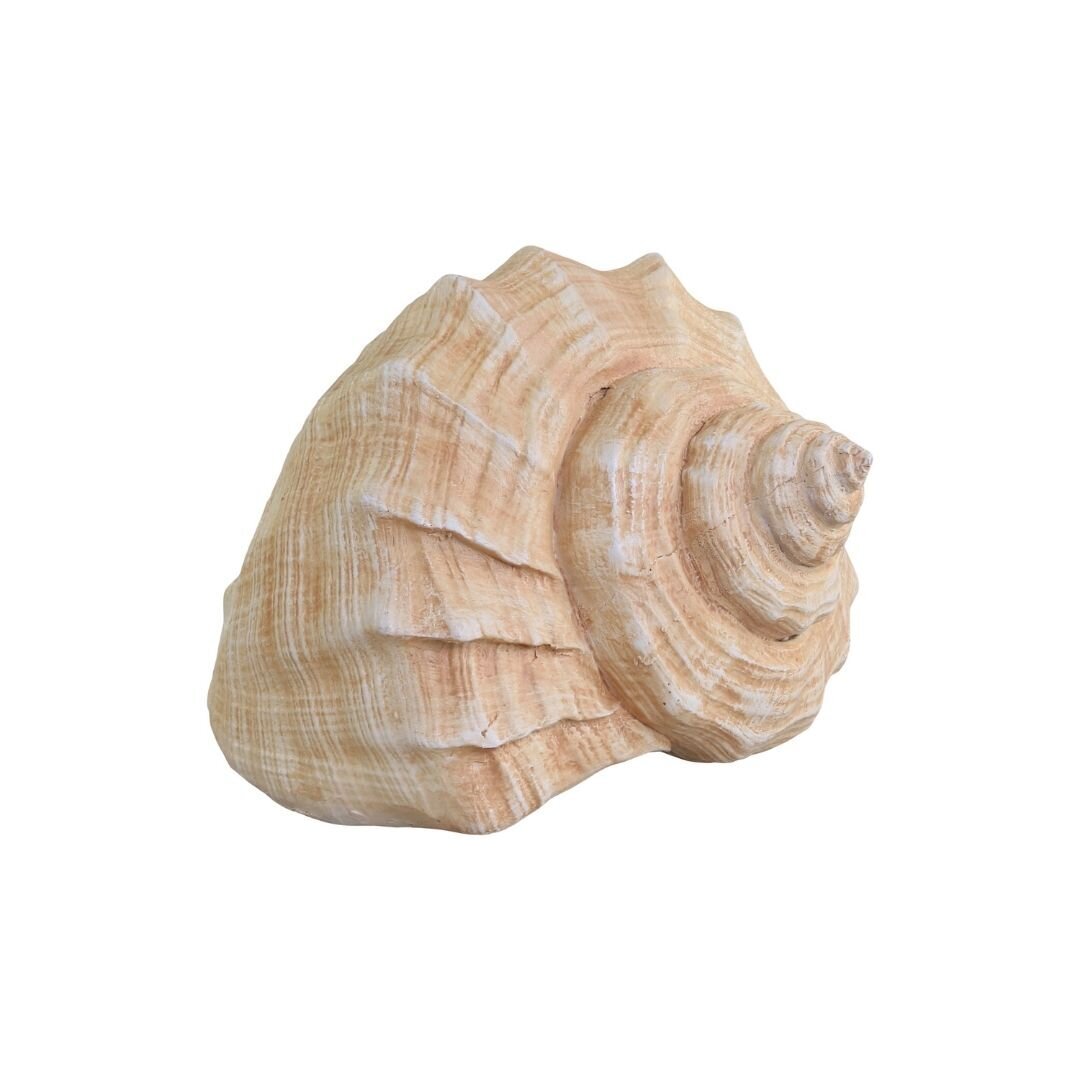 Dekofigur Muschel aus Kunstharz, natur L13,5 x B8,5 x H10,5 cm