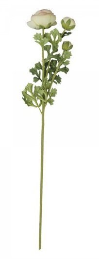 Chic Antique Fleur Butterblume melone, melone H70/L14/B7 cm