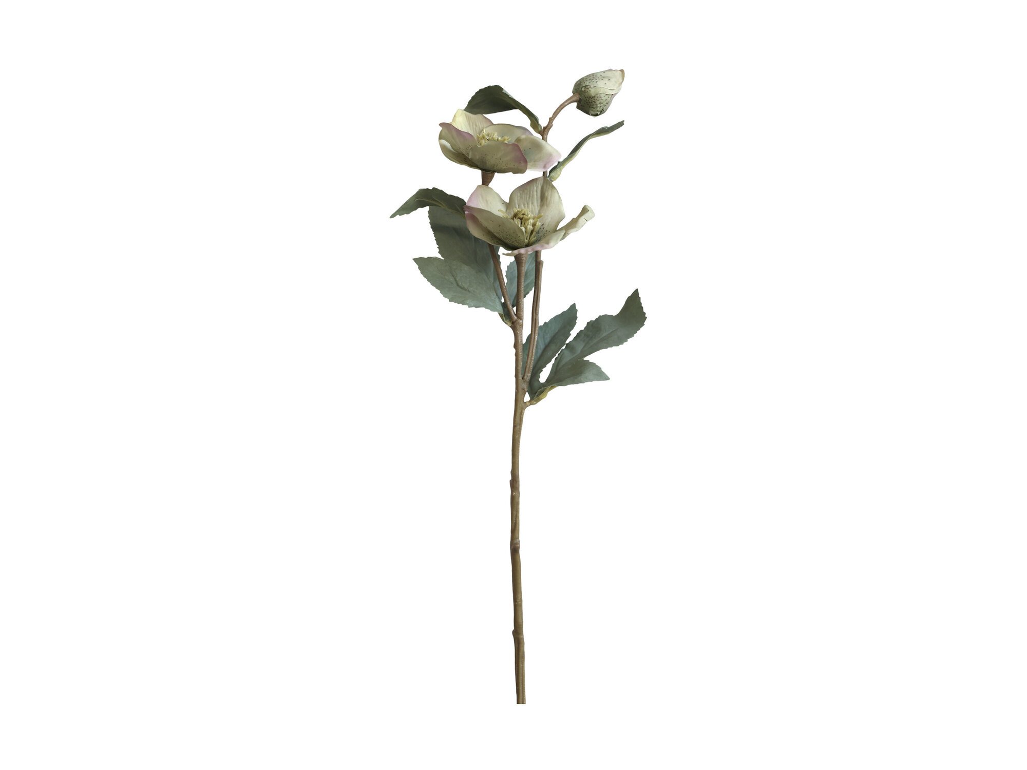 Fleur Kunstblume Christrose von Chic Antique günstig bestellen | SKANDEKO