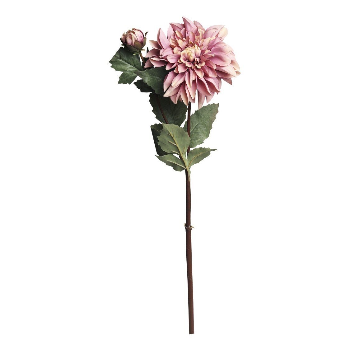 Fleur Dahlie, staubig rosa 