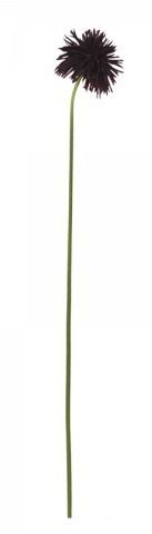 Chic Antique Fleur Dahlie bordeaux, bordeaux H68 cm