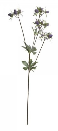 Chic Antique Fleur Distel 1, pflaume H58,5 cm