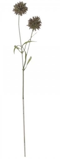 Chic Antique Fleur Distel 2, heide H75/L16/B8 cm