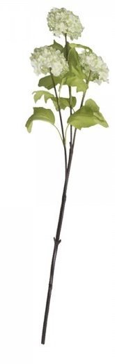 Chic Antique Fleur Echter Schneeball lime, lime H60/L15/B12 cm