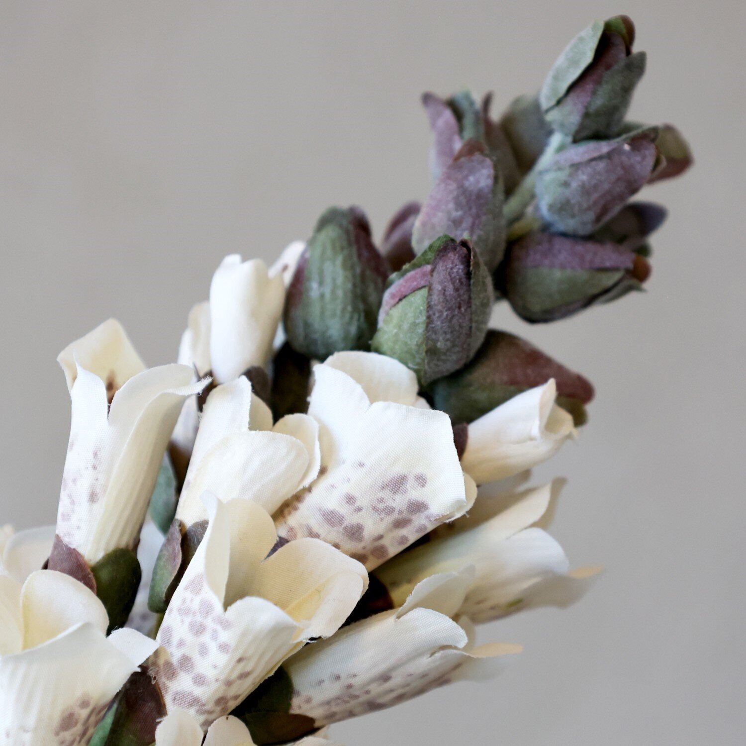 Fleur Fingerhut, weiss