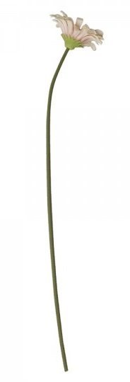 Chic Antique Fleur Gerbera, rosa