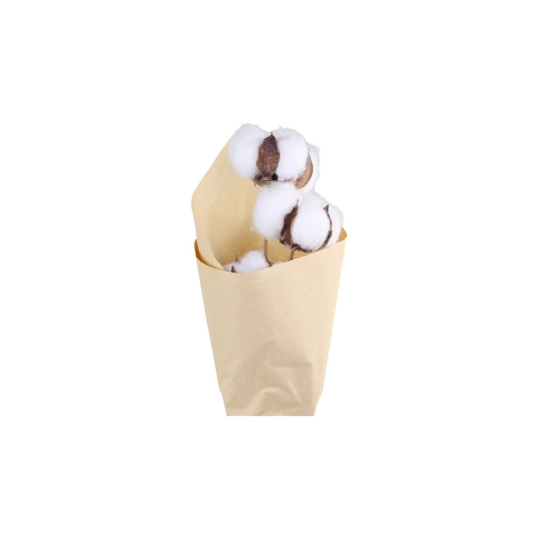 Fleur getrocknete Blume Baumwolle, creme 