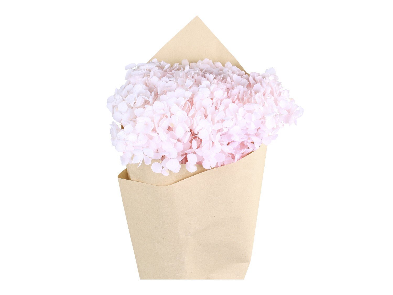 Fleur getrocknete Hortensie Blume, rosa 